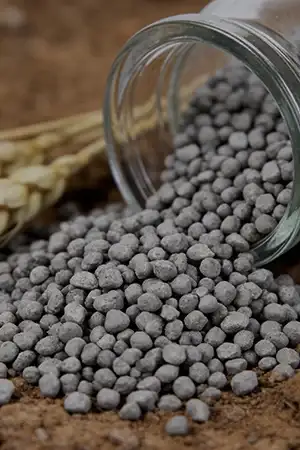 Phosphate Fertilizer Production Line