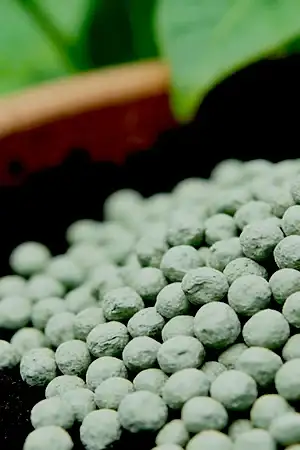 Organic Fertilizer & Slow Release Fertilizer Production Line