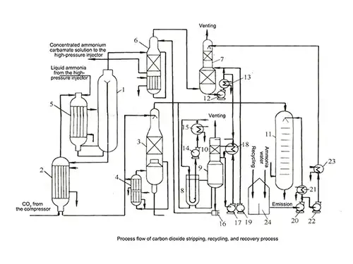 Process Flow Diagram