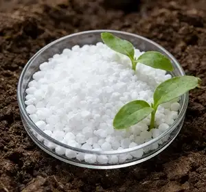 Nitrogen Fertilizer Production Line 