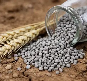 Phosphate Fertilizer Production Line