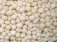 Ammonia-acid storage system