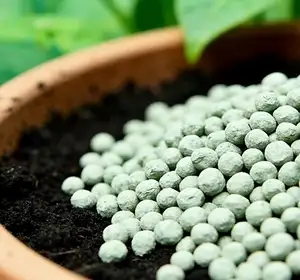 Organic Fertilizer & Slow Release Fertilizer Production Line